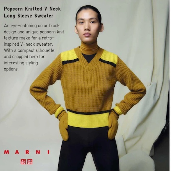 NWT- Marni+ Uniqlo Knitted V-Neck Long-Sleeve Sweater (MARNI)- 32 Beige - Picture 4 of 4